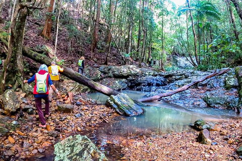 Guided E Bike Tour - Unicorn Falls & National Park - Accommodation Guide 17