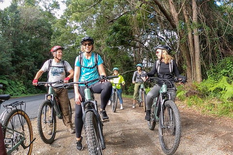 Guided E Bike Tour - Unicorn Falls & National Park - Accommodation Guide 11