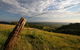Private Full-Day Wine Tour In Hunter Valley - thumb 3