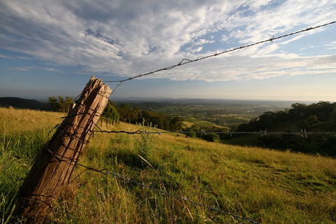 Private Full-Day Wine Tour In Hunter Valley - Accommodation Asia 3