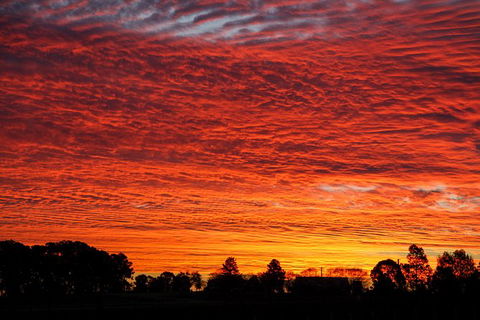 Private Full-Day Wine Tour In Hunter Valley - Accommodation Asia 0
