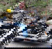 Lower Blue Mountains Tour on a Harley Davidson Motorcycle - Accommodation Guide