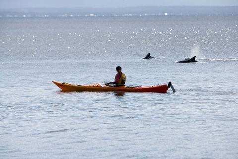 Half-Day Jervis Bay Sea Kayak Tour - Accommodation Guide 4