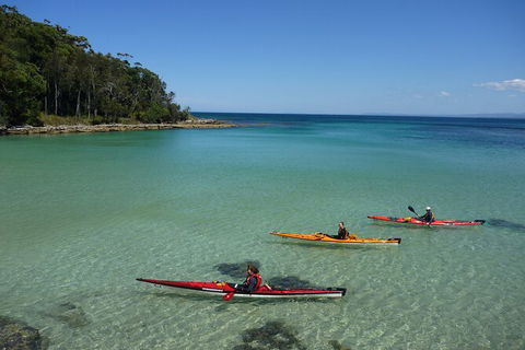 Half-Day Jervis Bay Sea Kayak Tour - Accommodation Guide 3