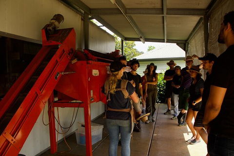Pecan Farm Tour And Workshop, Byron Bay Hinterland - Accommodation Asia 4
