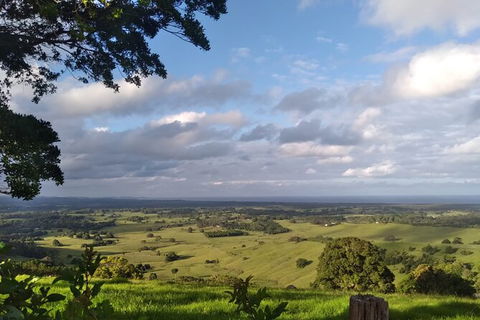Pecan Farm Tour And Workshop, Byron Bay Hinterland - Accommodation Asia 1