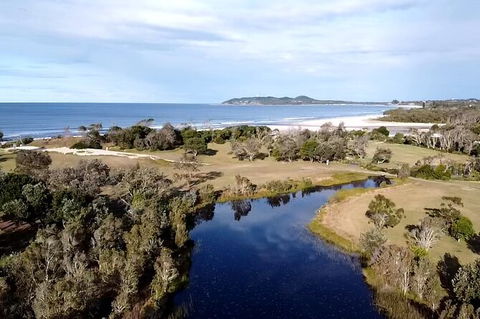 Coffee Farm Tour And Workshop, Byron Bay Hinterland - Accommodation Guide 3