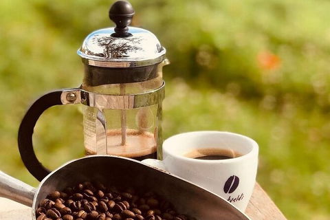 Coffee Farm Tour And Workshop, Byron Bay Hinterland - Accommodation Guide 0