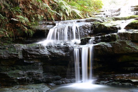 Private 10-hour Tour To Blue Mountains From Sydney - Hotel Pick Up & Drop Off - Accommodation China 6