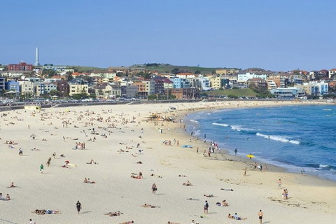 Sydney With Bondi And Beaches Essentials Private Day Tour - Accommodation Guide 2