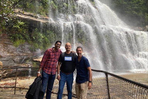 Blue Mountains Highlights & Wildlife Park - Accommodation Asia 4