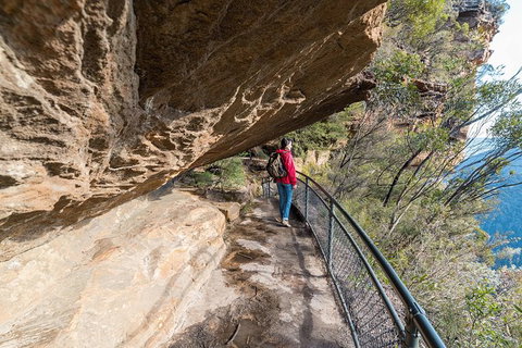 Blue Mountains Highlights & Wildlife Park - Accommodation Asia 0