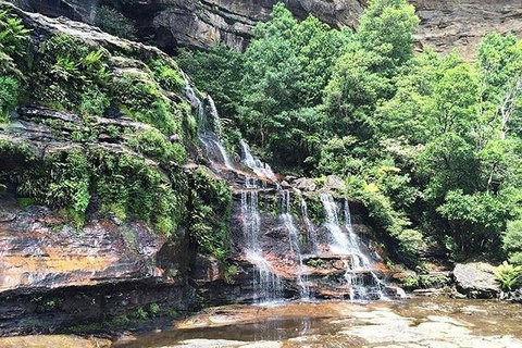 Blue Mountains Highlights & Wildlife Park - Accommodation Asia 8