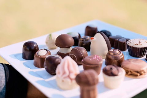 Hunter Valley Highlights Private Wine Tour From Sydney - Accommodation Guide 7