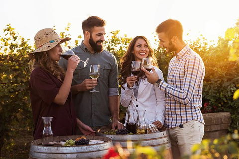 Hunter Valley Highlights Private Wine Tour From Sydney - Accommodation Guide 0
