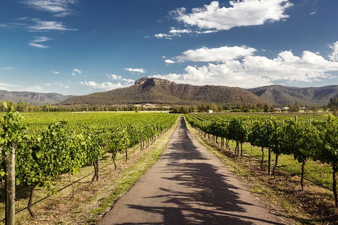 Hunter Valley Highlights Private Wine Tour From Sydney - Accommodation Guide 2