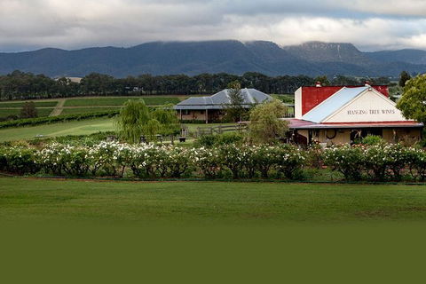Hunter Valley Highlights Private Wine Tour From Sydney - Accommodation Guide 5