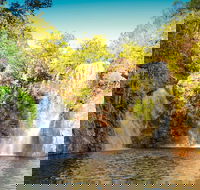 Litchfield National Park Waterfalls Day Trip From Darwin Including Termite Mounds and Lunch - Accommodation Asia