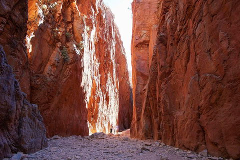 Best Of Alice Springs Full Day Tour - Accommodation Guide 6