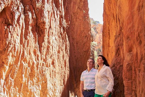 Best Of Alice Springs Full Day Tour - Accommodation Guide 4