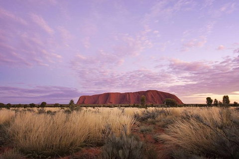 Explore Uluru: 7 Hours Guide Tour At Sunrise With Light Breakfast - Accommodation Asia 4