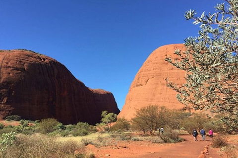 5-Hour Kata Tjuta Sunrise Tour From Ayers Rock With Breakfast - Accommodation Asia 2