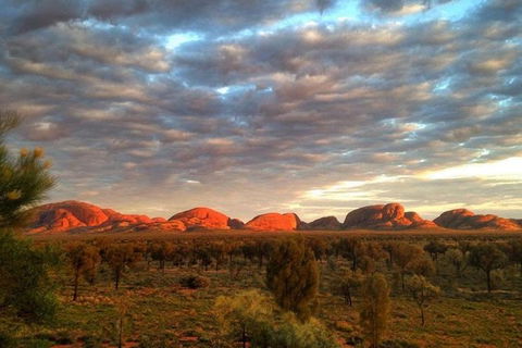 5-Hour Kata Tjuta Sunrise Tour From Ayers Rock With Breakfast - Accommodation Asia 0
