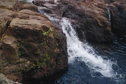 Full-Day Private Guided Tour To Litchfield National Park - Accommodation China 8