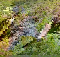 Full-Day Private Guided Tour to Litchfield National Park - Accommodation Asia