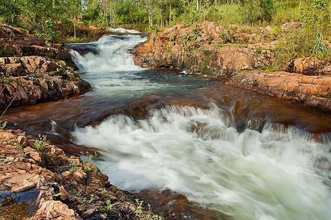 Full-Day Private Guided Tour To Litchfield National Park - Accommodation China 3