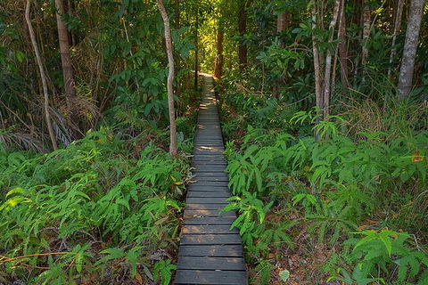 Full-Day Private Guided Tour To Litchfield National Park - Accommodation China 7