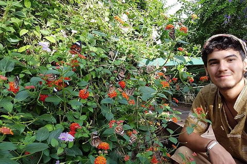 Full-Day Private Guided Tour To Litchfield National Park - Accommodation China 17