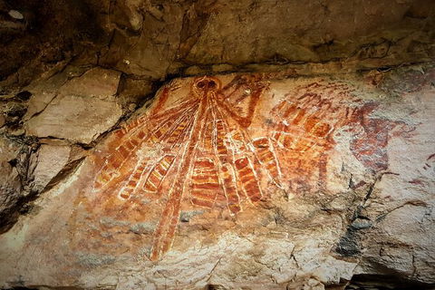 Arnhem Land Injalak Hill Full-Day Tour From Darwin - Accommodation China 1