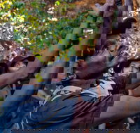 Arnhem Land Injalak Hill Full-Day Tour from Darwin - Accommodation Asia