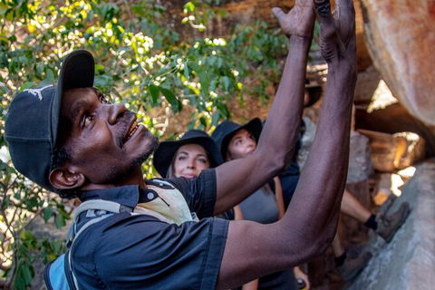 Arnhem Land Injalak Hill Full-Day Tour From Darwin - Accommodation China 0
