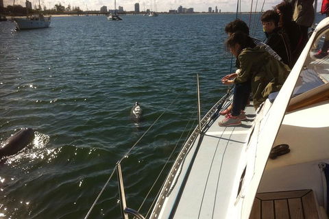 Gold Coast Sailing Cruise With Sparkling Wine & Nibbles Platter - Accommodation Guide 3