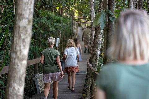 Daintree Rainforest, Cape Tribulation And Bloomfield Track Small Group Tour - Accommodation Guide 15
