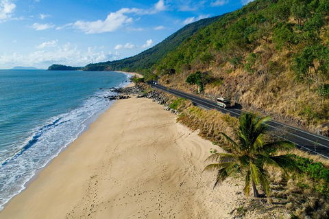 Daintree Rainforest, Cape Tribulation And Bloomfield Track Small Group Tour - Accommodation Guide 4