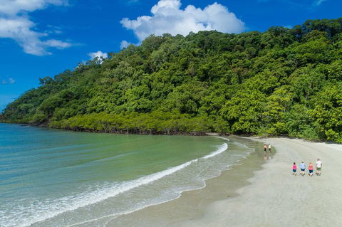 Daintree Rainforest, Cape Tribulation And Bloomfield Track Small Group Tour - Accommodation Guide 2