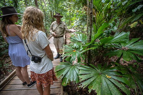 Daintree Rainforest, Cape Tribulation And Bloomfield Track Small Group Tour - Accommodation Guide 12