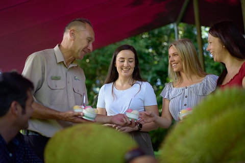 Daintree And Cape Tribulation Tour From Cairns - Accommodation Guide 1