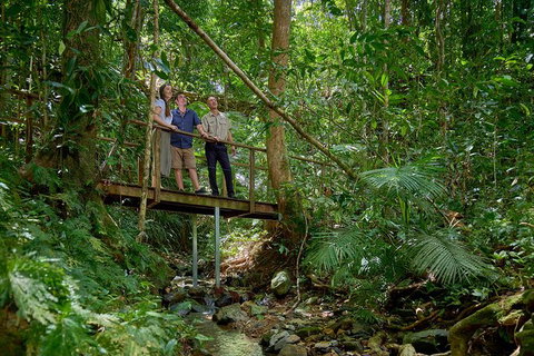 Daintree And Cape Tribulation Tour From Cairns - Accommodation Guide 3