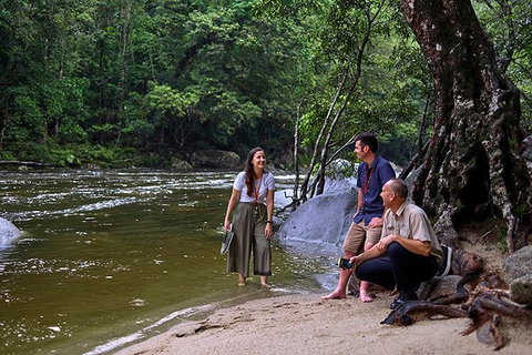 Daintree And Cape Tribulation Tour From Cairns - Accommodation Guide 2
