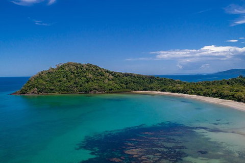 Daintree And Cape Tribulation Tour From Cairns - Accommodation Guide 7