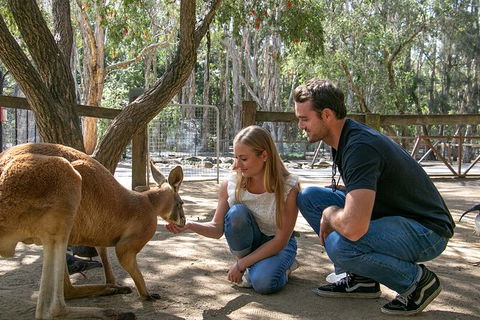 Currumbin Wildlife Sanctuary General Entry Ticket - Accommodation Guide 1