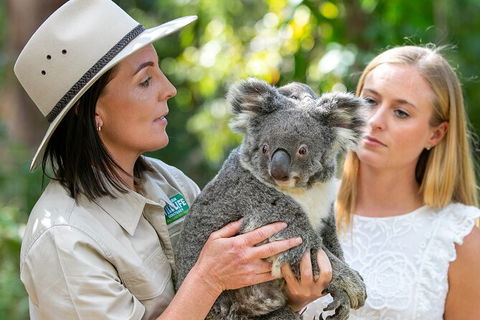 Currumbin Wildlife Sanctuary General Entry Ticket - Accommodation Guide 6