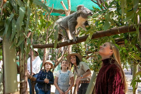 Currumbin Wildlife Sanctuary General Entry Ticket - Accommodation Guide 14