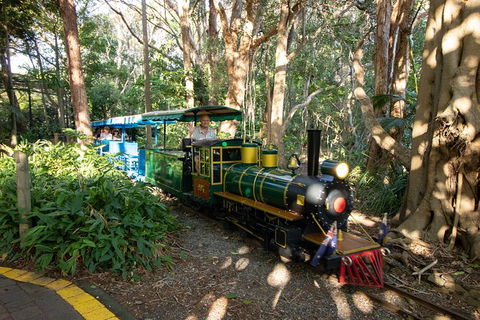 Currumbin Wildlife Sanctuary General Entry Ticket - Accommodation Guide 13