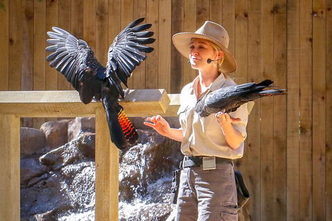 Currumbin Wildlife Sanctuary General Entry Ticket - Accommodation Guide 2