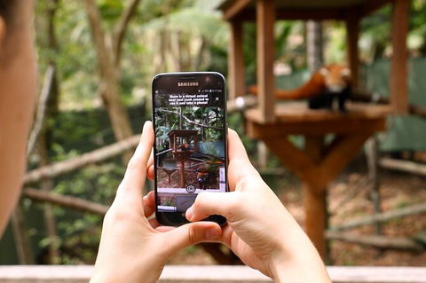 Currumbin Wildlife Sanctuary General Entry Ticket - Accommodation Guide 4